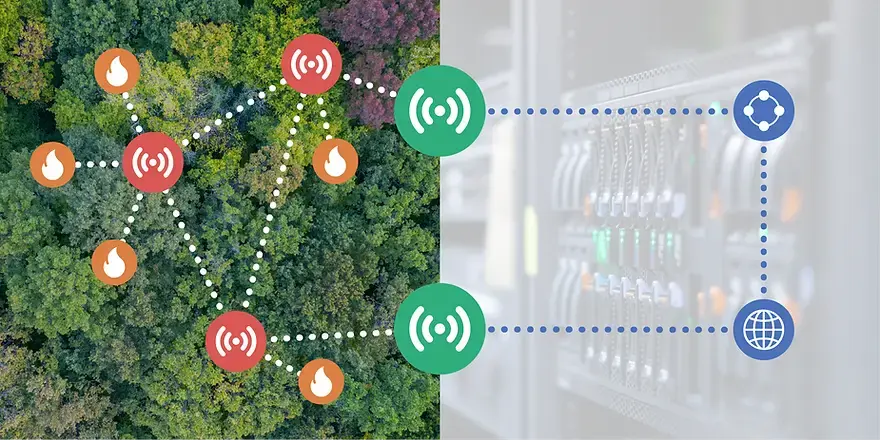 Network Visual